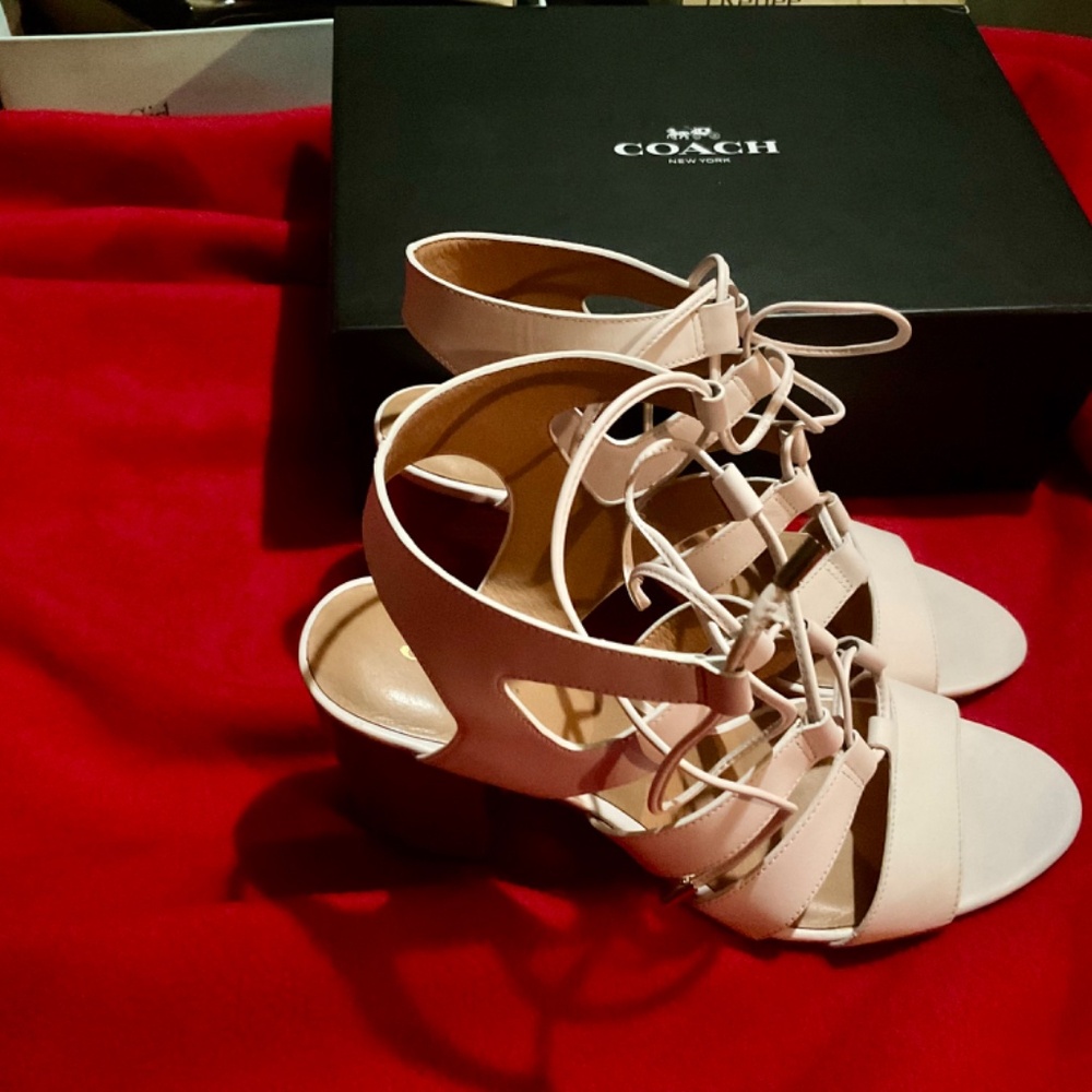 Coach Larissa - Picture 2 of 2